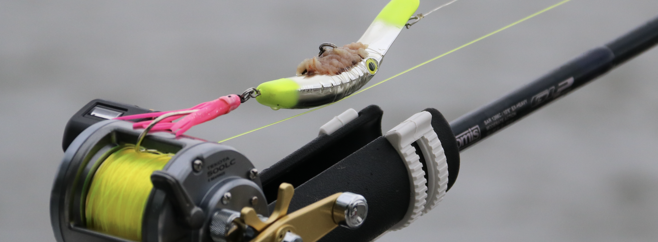 Wash Those Salmon Plugs! Alaska King Salmon