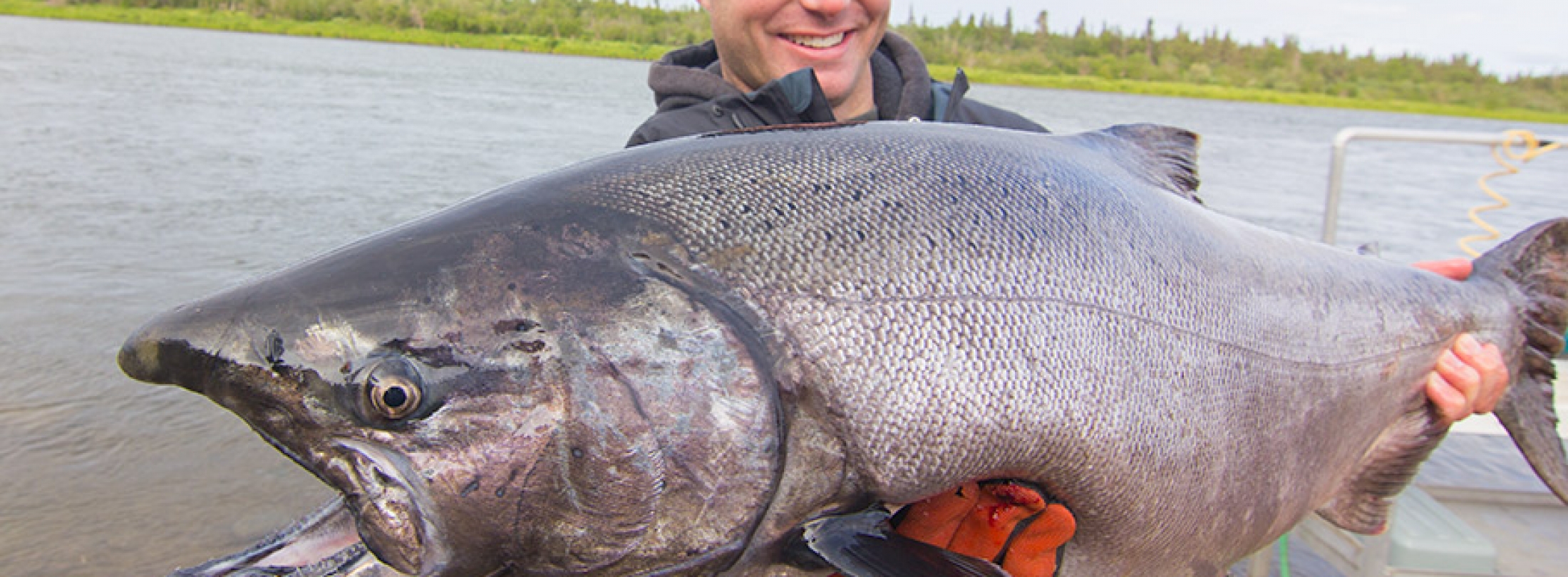 Salmon Scents Alaska King Salmon