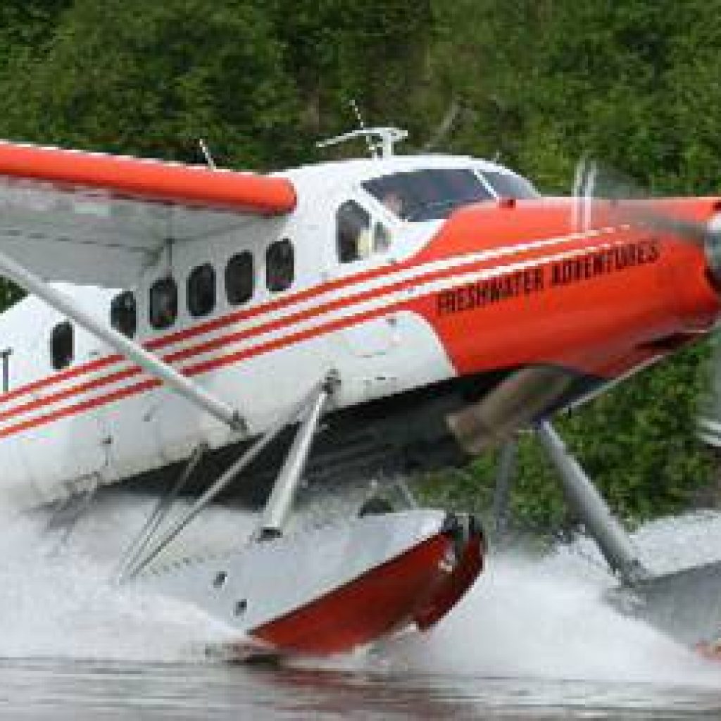 Alaskas_King_Salmon_Flight2 Alaska King Salmon