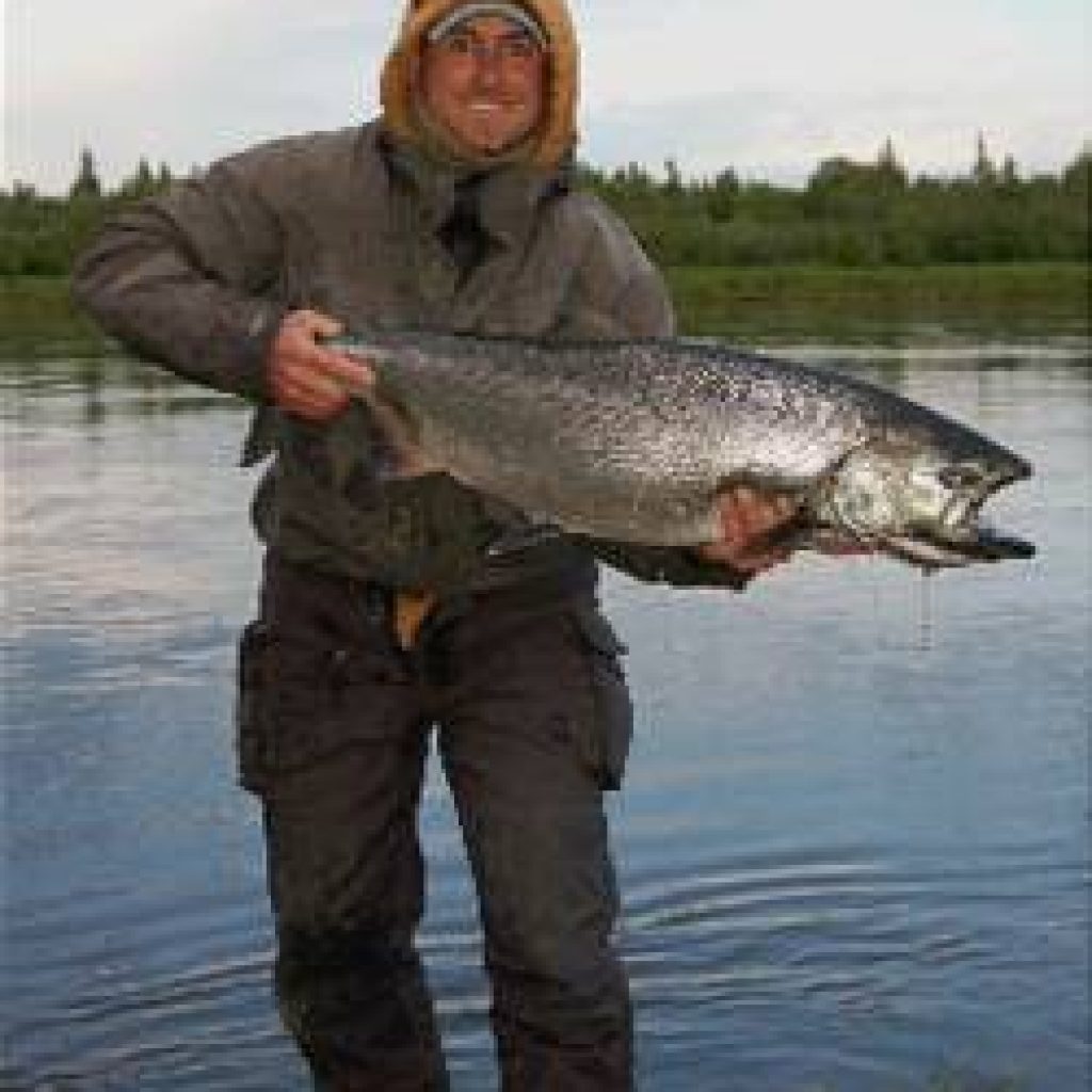 King_Salmon_2 Alaska King Salmon