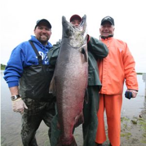 Fishermen display a large King/Chinook salmon caught while fishing on the Nushagak River in Alaska