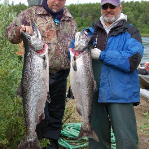 clients hold the king/chinook salmon they caught while fishing with our guides on alaska's nushagak river