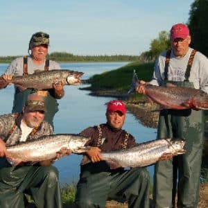 King/chinook salmon fishermen display their catch at alaska king salmon's fishing lodge on the nushagak river