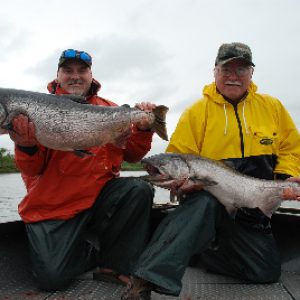 king/chinook salmon caught on alaska's nushagak river with our fishing guide and lodge service
