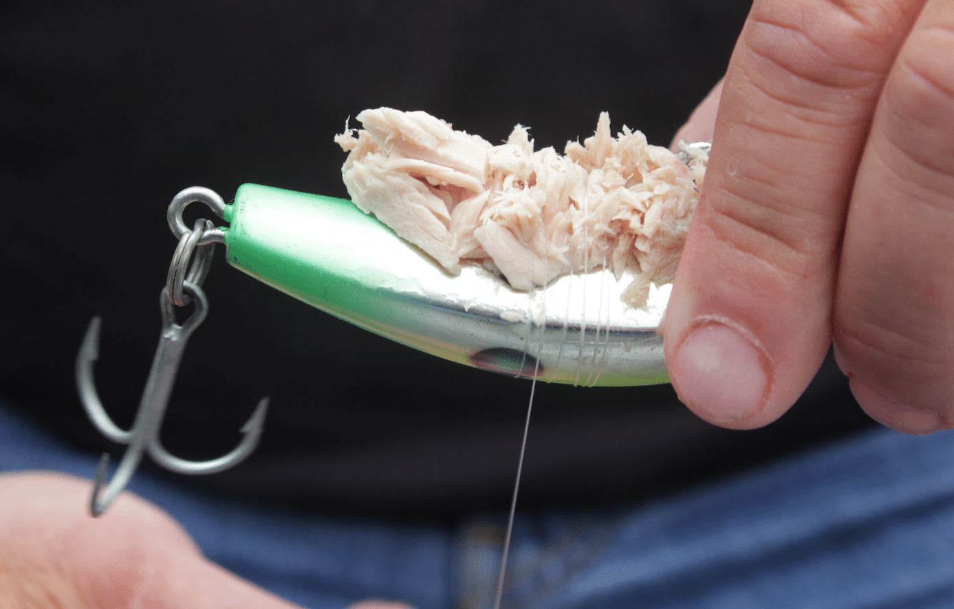Tuna Chunk Wrapped Plugs For Backtrolling King Salmon